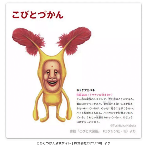 【引用】こびとづかん公式サイトより｜ホトケアカバネ